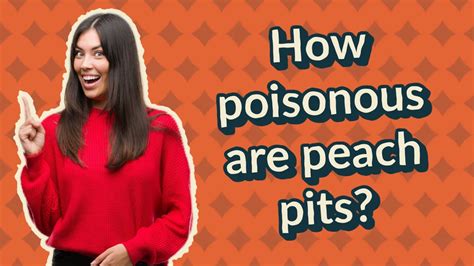 How Poisonous Are Peach Pits Youtube