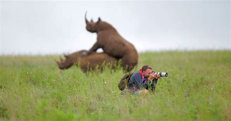 How Did I Miss Rhino Sex Photo Nature Snapper Reveals Truth Behind Hilarious Snap Irish