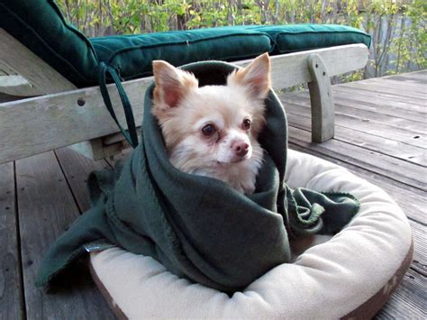 Craigslist hawaii rooms for rent - uirunisaza.web.fc2.com