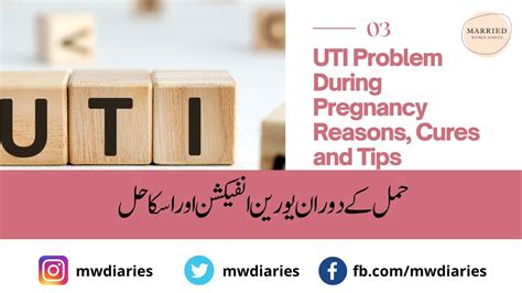 Uti During Pregnancy Uti Infection Causes And Symptoms Uti