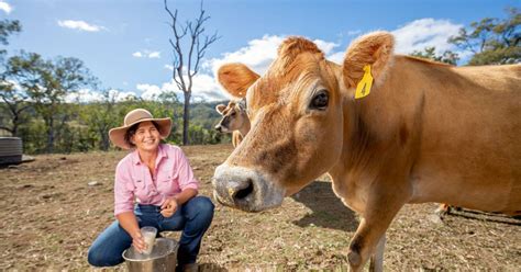 Tommerup S Dairy Farm Wins Australian Farmer Of The Year Innovation
