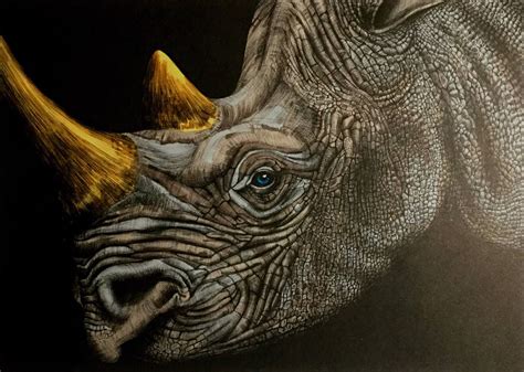 Rhinoceros By Benji Jager Animals Artwork Rhino Art Animal Drawings
