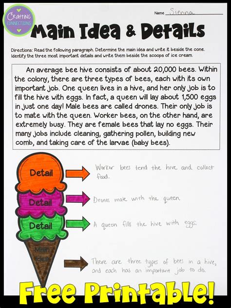 Main Idea And Key Details Worksheet 5th Grade