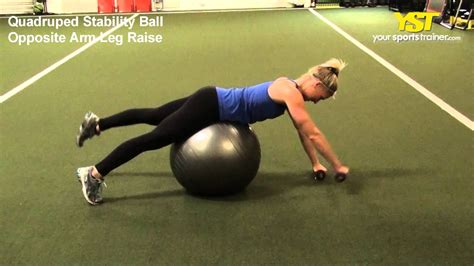 Quadruped Stability Ball Opposite Arm Leg Raise Youtube