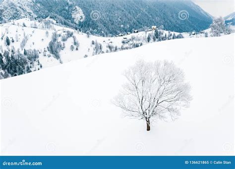 Transylvania Romania Winter Landscape Covered In Snow In The