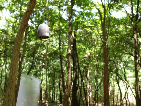 La Forêt Des Murmures By Christian Boltanski Art Benesse Art Site Naoshima 現代アート アート 瀬戸内