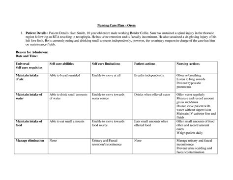 Jo is head veterinary nurse at orchard veterinary group. dorothea orem care plan - Google Search | Nursing care ...