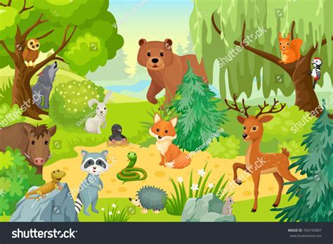 Group Wild Animals On Fringe Forest Stock Vector Royalty Free