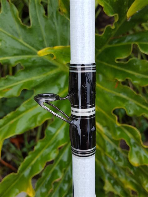 In pakistan, keeping lions or tigers at home is a growing trend, flouting rules and safety regulations. For Sale - Seeker White Tiger 7X WTS | Bloodydecks