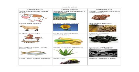Materias Primas De Origen Animal Y Vegetal Compartir Materiales