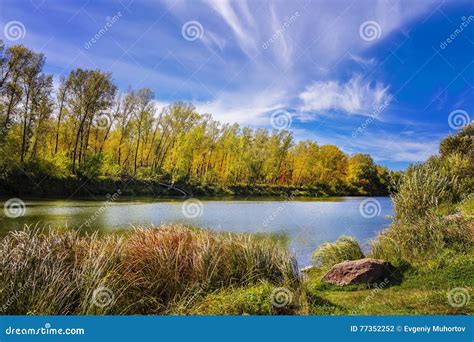 Siberian River Berd In Autumn Stock Photo Image Of Wildlife Deserted