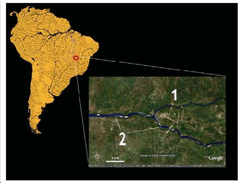 Mapa Hidrográfico Do Brasil E Localização Da Região De Coleta Com