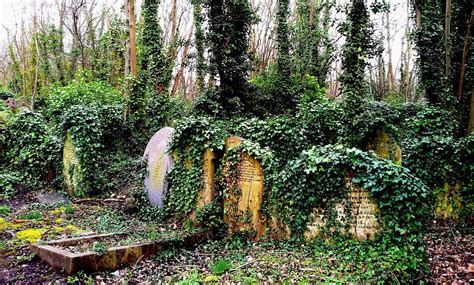 Free Image On Pixabay Graveyard Dig Tombstone Green Planting