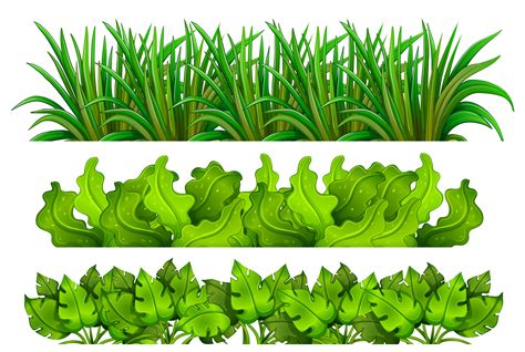 A set of green grass 302952 Vector Art at Vecteezy
