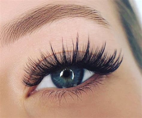 wispy lashes everything you need to know