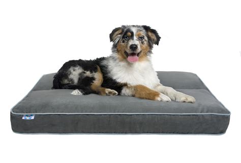 Eco Paw Dog Bed By Sealy Pet Age