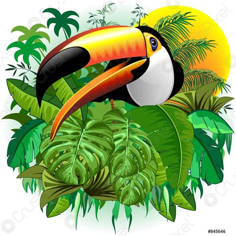 Toucan Wild Exotic Bird On Tropical Jungle Vector Illustration Stock