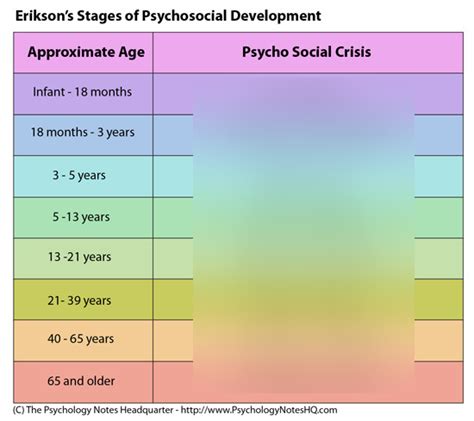 Erik Eriksons Stages Of Psychosocial Development Diagram Quizlet
