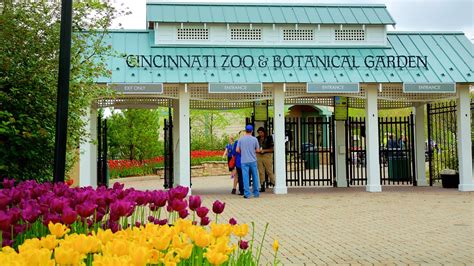 Cincinnati Zoo And Botanical Garden In Cincinnati Ohio Expedia