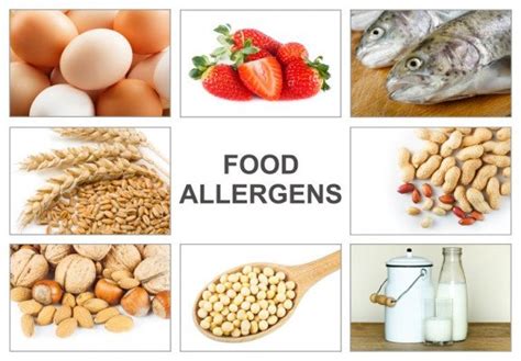 Food intolerance does not exist. EUROPA - Allergeni, come garantire oggi l'applicazione ...