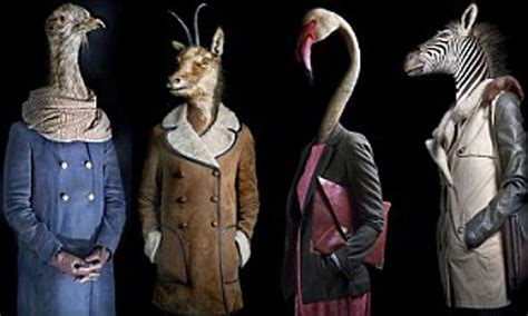 Animals Wearing Clothes Portraits