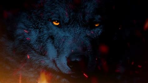 Wolf With Glowing Eyes Growling In Raging Flames Stock Video Footage