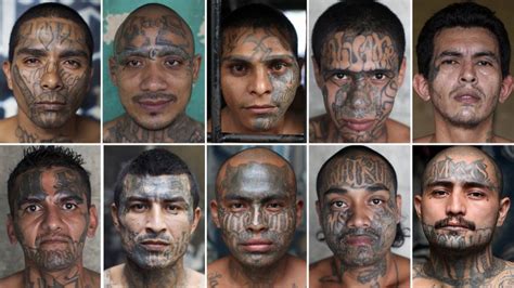 Build The Wall Why To Reduce Murders And Rapes For