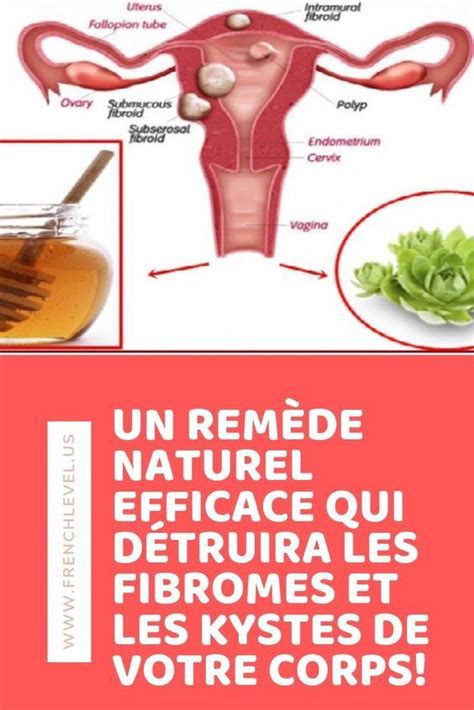 Comment Enlever Fibrome Naturellement Traitement Naturel Fibromes My