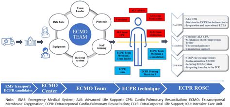 Jcm Free Full Text The Beginning Of An Ecls Center First