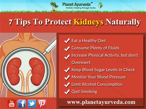 Top 7 Tips To Keep Your Kidneys Healthy And Happy Naturally