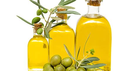 Maybe you would like to learn more about one of these? Jual Minyak Zaitun Olive Oil Asli: Manfaat Minyak Zaitun