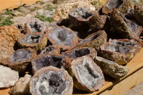 12 Valuable Rocks You Can Find In Your Backyard Gardenia Organic