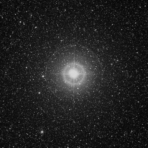 Albireo β1 Cygni Beta1 Cygni Star In Cygnus
