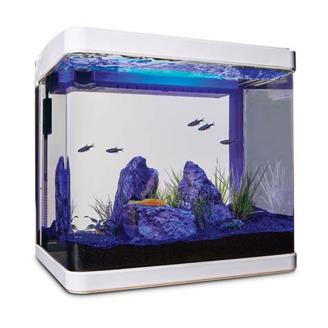 Imagitarium Frameless Freshwater Aquarium Kit Gal Ph