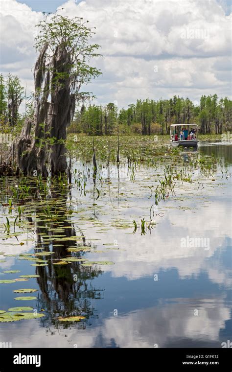 Okefenokee Swamp Boat Tour Hi Res Stock Photography And Images Alamy