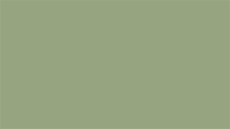 What Is The Color Code For Pantone 4179 C