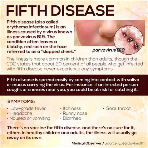 1000 Images About Fifths Disease On Pinterest Immune System A