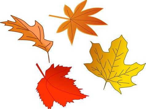 Clipart leaves fall leaves, Clipart leaves fall leaves Transparent FREE for download on ...