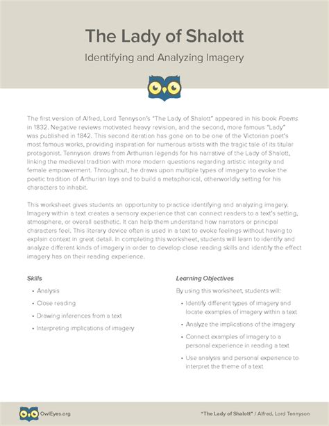 The Lady Of Shalott Imagery Worksheet Owl Eyes