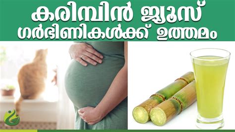 Pregnancy tips malayalam | pregnancy diet chart malayalam. pregnancy tips malayalam l malayalam health tips l ...