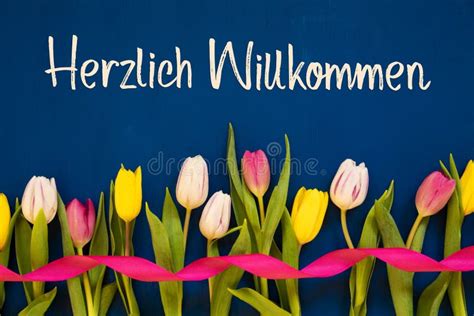 Colorful Tulip Herzlich Willkommen Means Welcome Ribbon Blue
