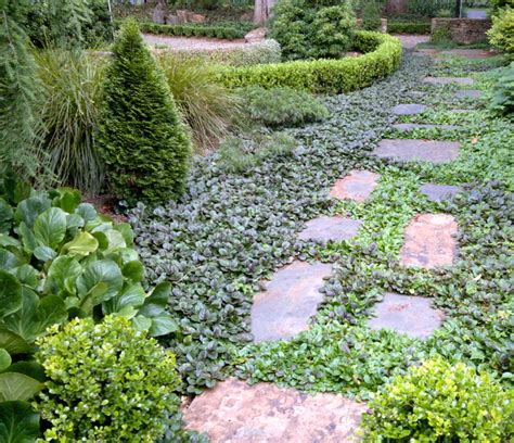 Ground Force Top 10 Ground Cover Plants For Your Garden Houzz Nz