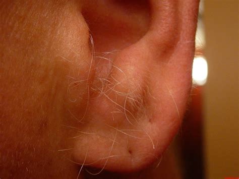 How To Remove Ear Hair