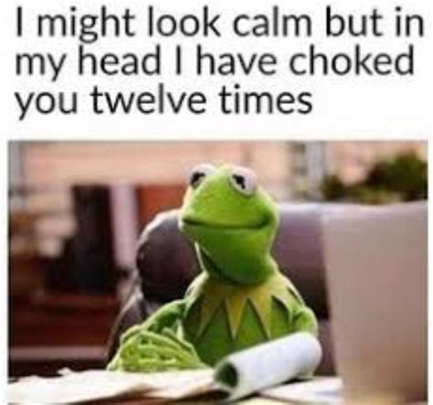 The Best Kermit The Frog Memes Memedroid