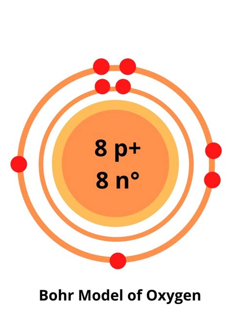Oxygen Bohr Model Diagram Steps To Draw Techiescientist