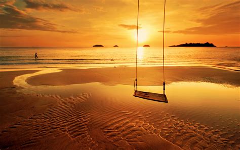 Beach Sunset Swing Wallpaper 2560x1600 29198