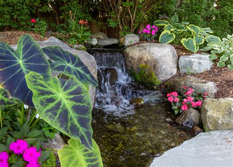 10 Backyard Waterfall Ideas For Your Garden Pleasure Backyard Boss