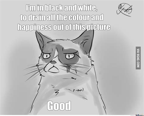 Lyoker Drawn A Grumpy Cat Meme 9gag