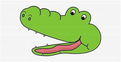 Crocodile Alligator Mouth Clipart Clip Face Pngkey