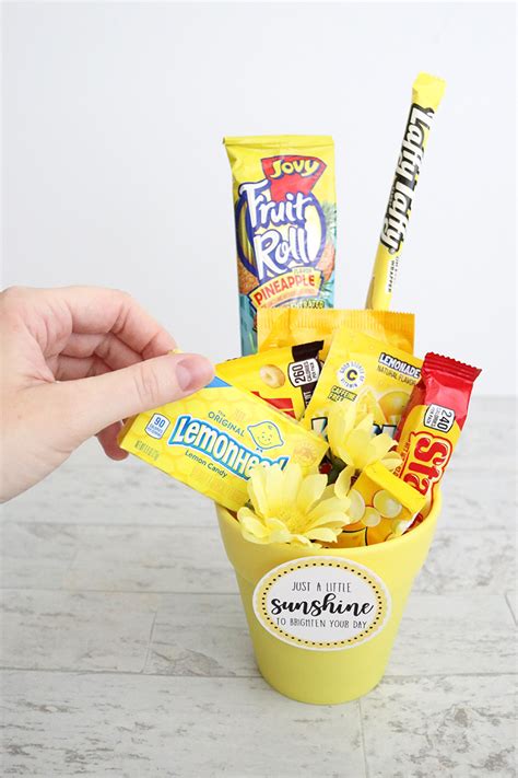 Purchase creative and memorable yellow gifts on alibaba.com, ideal for all events and occasions. DIY Sunshine Gift Ideas-and Free Printables! - Aubree ...